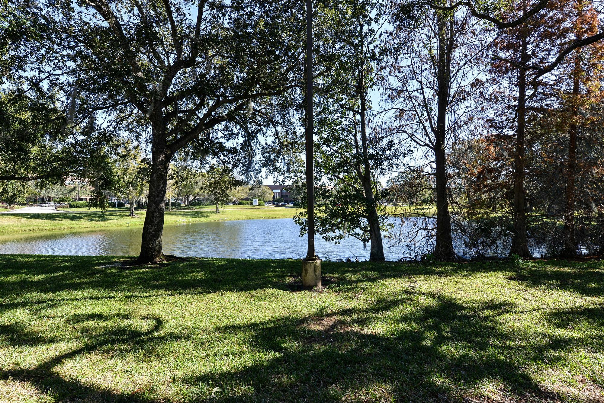 Clarion Pointe Tampa-Brandon Near Fairgrounds And Casino Hotel Mango Exterior photo